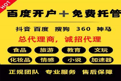 某电商平台的SEM代运营策略解析